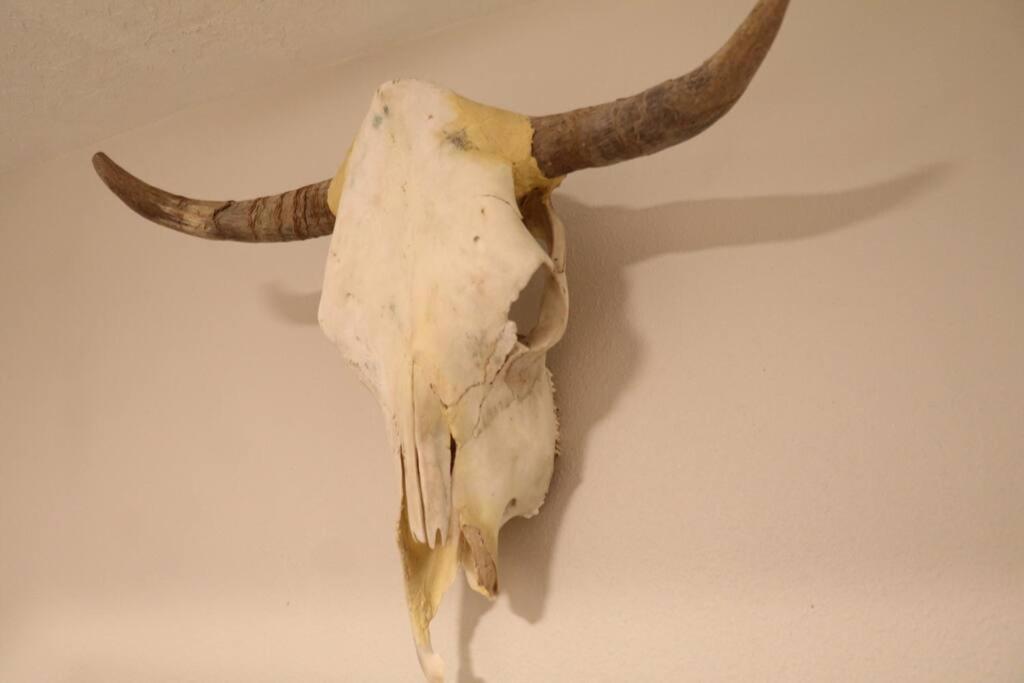 Cowboy Den-Hot Tub-Game Room-Pet Friendly-No Pet Fees! Albuquerque Luaran gambar